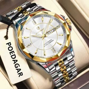 POEDAGAR 674 Luxury Watch For Man
